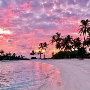 Meet your Posher, Alexa